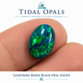 Lightning Ridge Schwarzer Opal 1,7 ct #LR-001