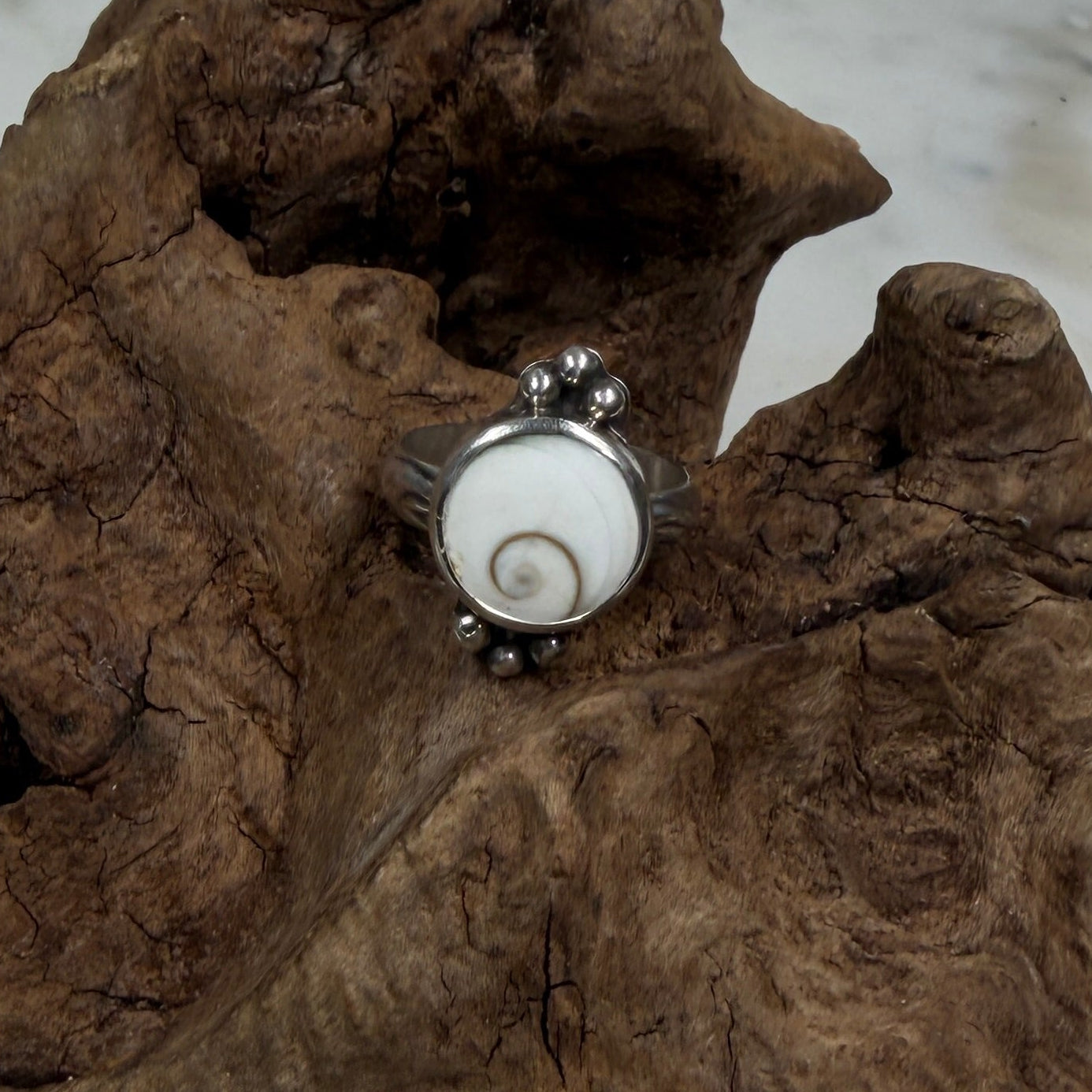 Shiva Shell Ring with Silver Bead Accents