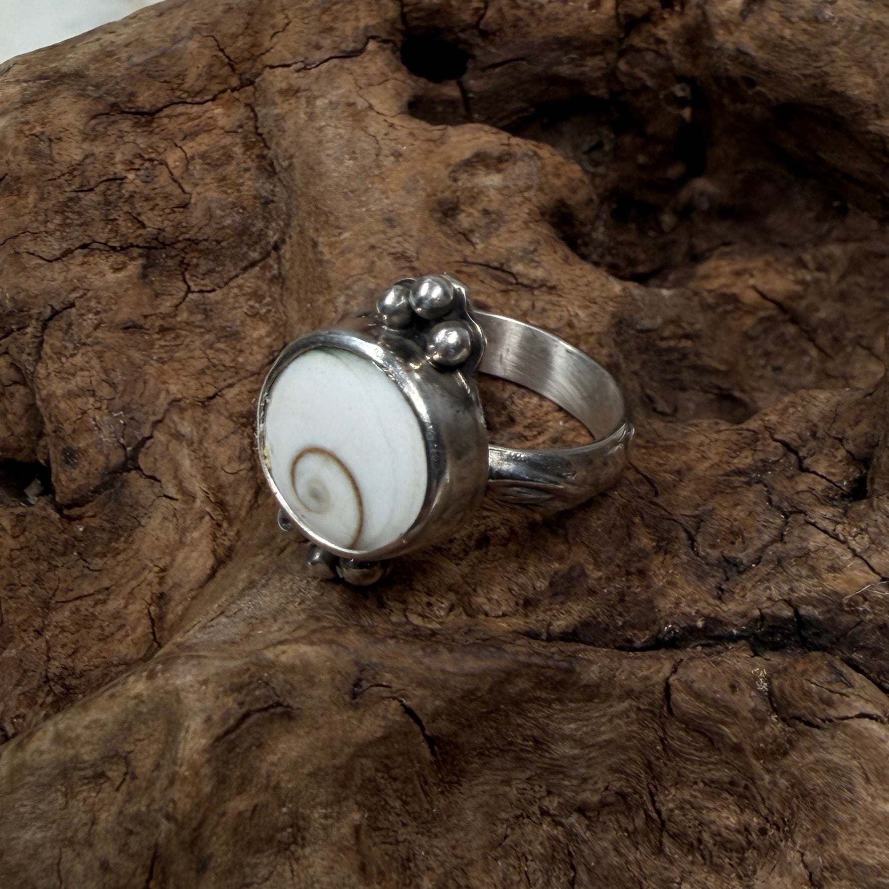 Shiva Shell Ring with Silver Bead Accents