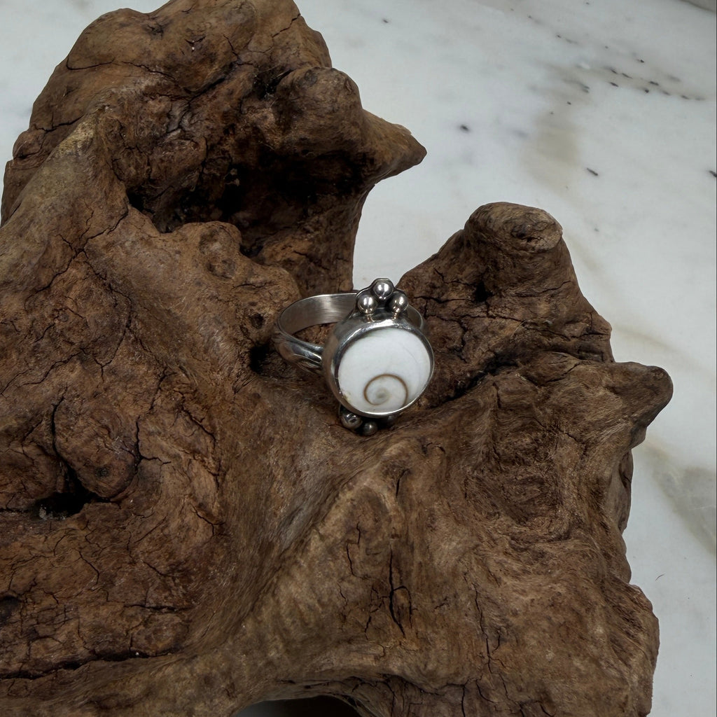 Shiva Shell Ring with Silver Bead Accents
