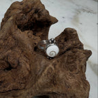 Shiva Shell Ring with Silver Bead Accents