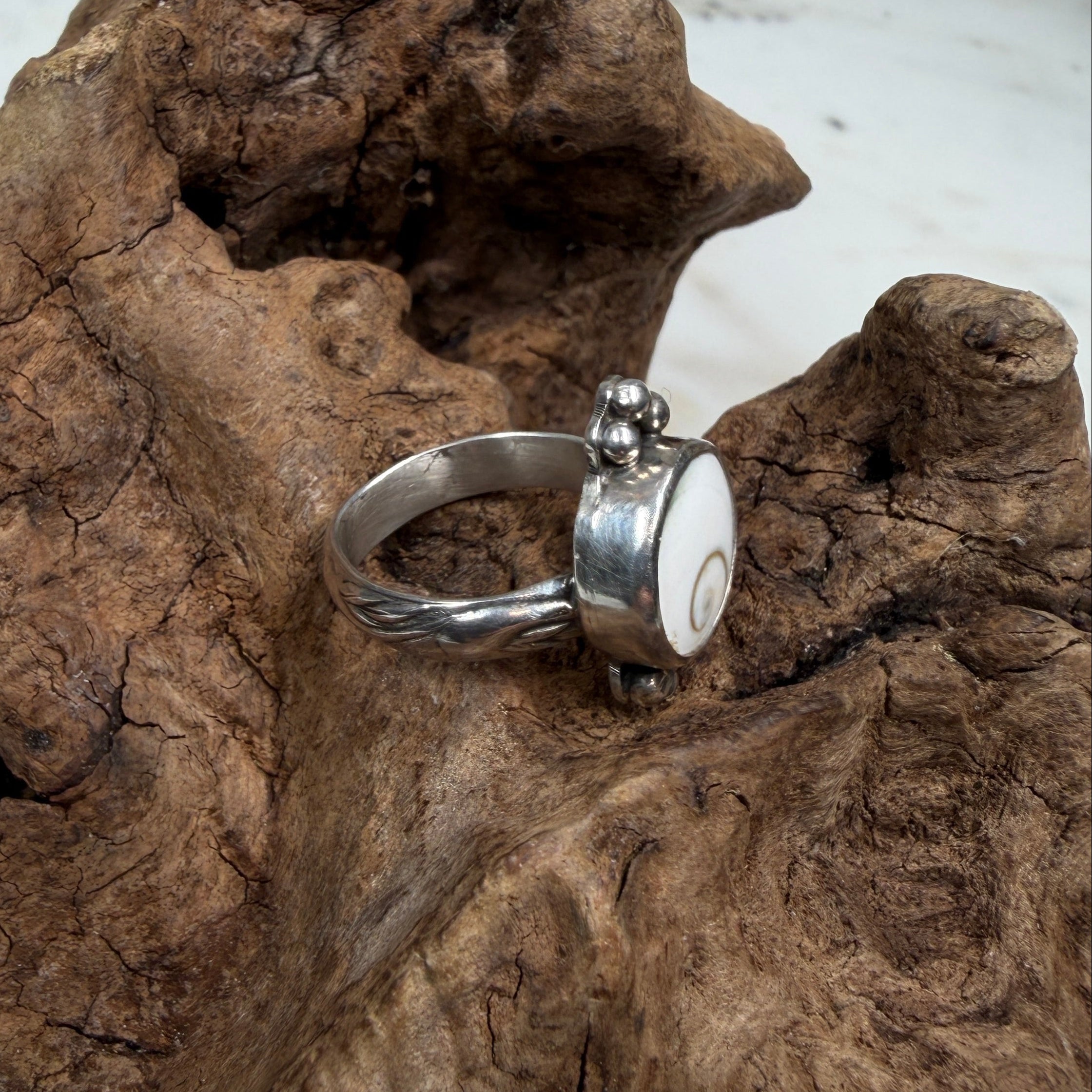 Shiva Shell Ring with Silver Bead Accents