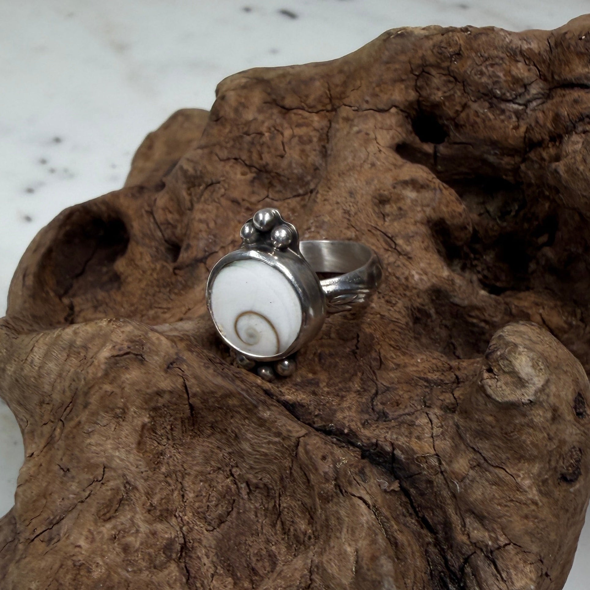 Shiva Shell Ring with Silver Bead Accents