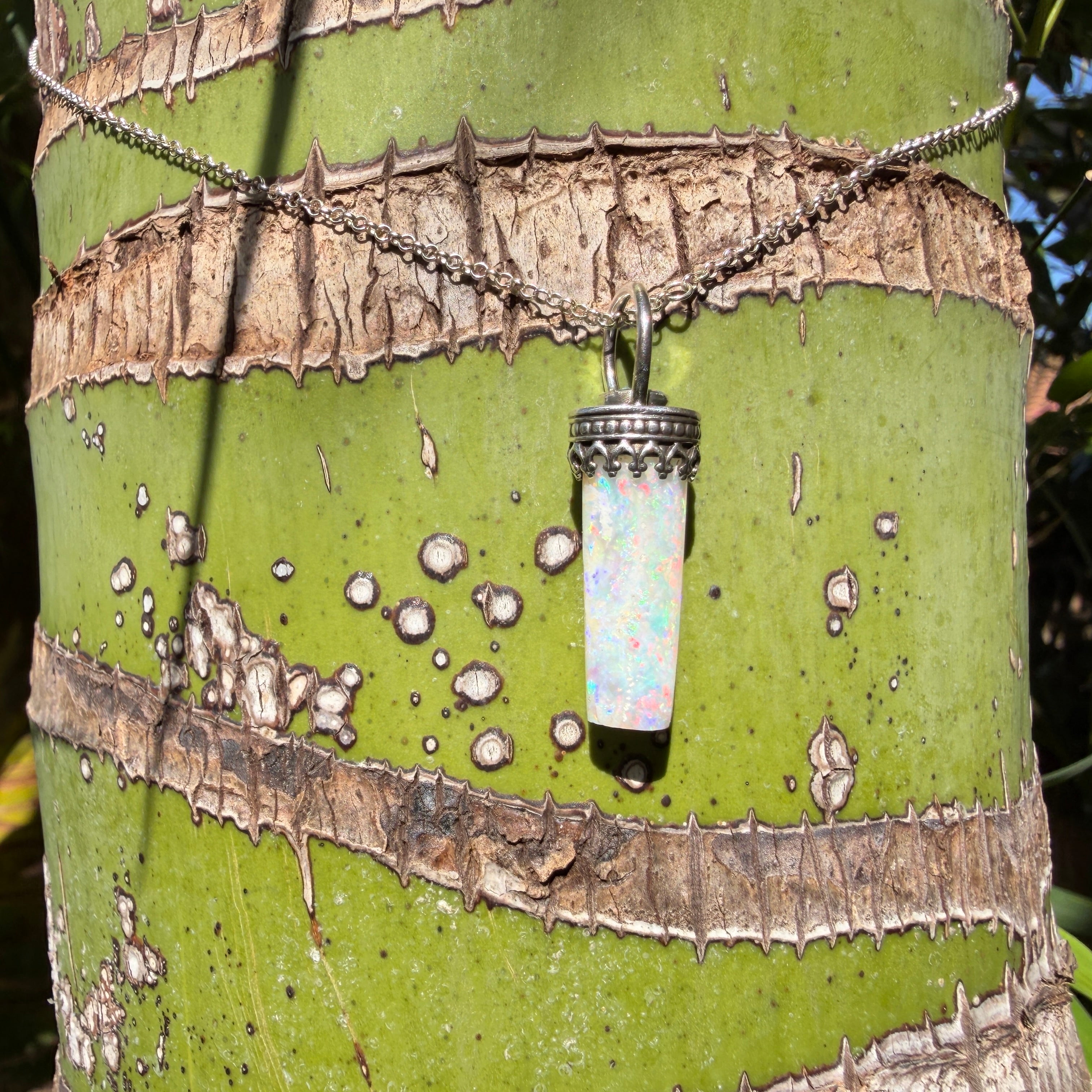 Eclipse Relic Belemnite Fossil with Lightning Ridge Opal Pendant