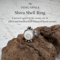 Shiva Shell Ring with Silver Bead Accents