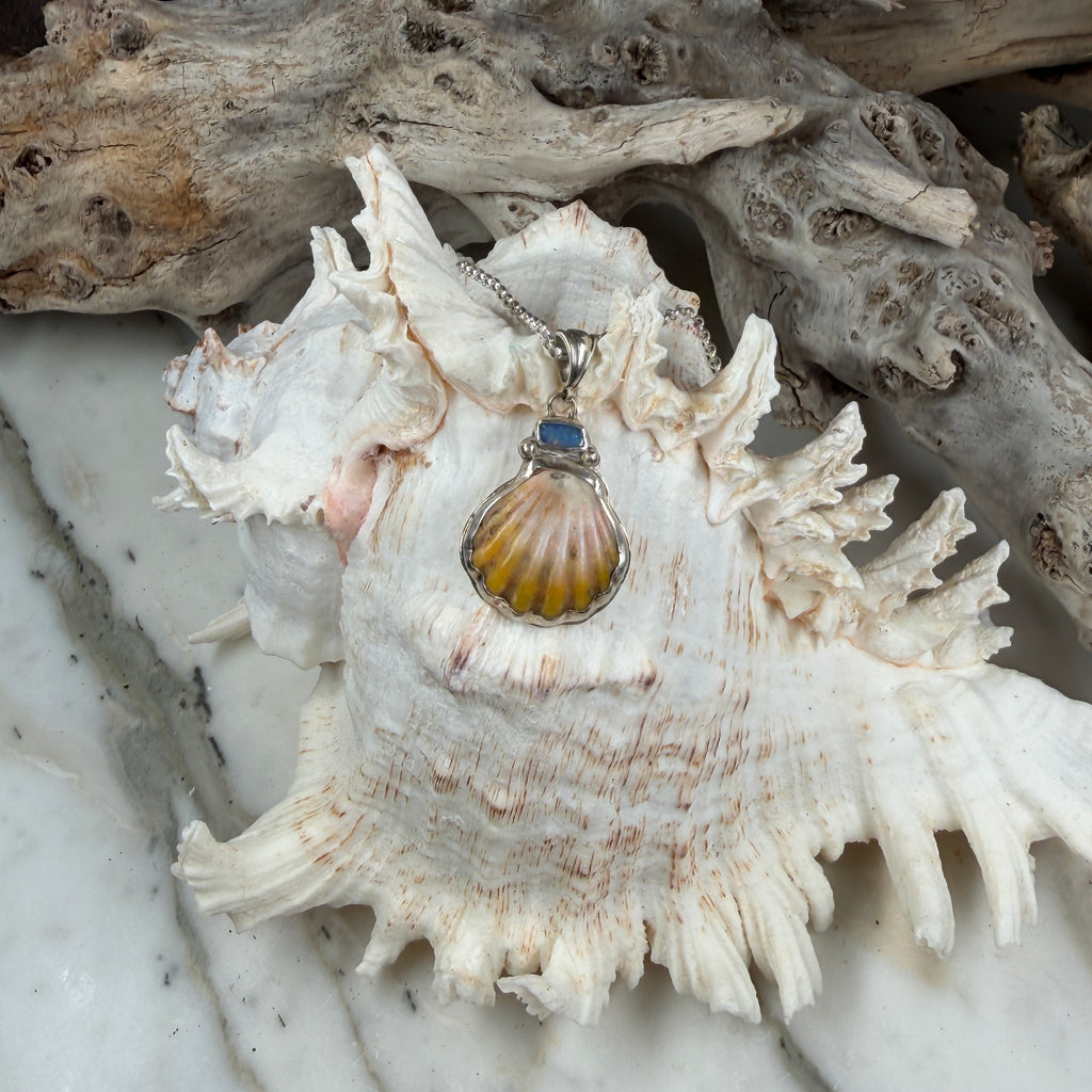 Kai Lā Sunrise Shell and Fire Boulder Opal Pendant