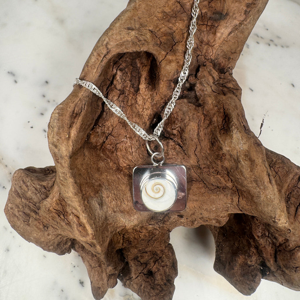 Eye of the Ocean Shiva Shell Pendant Necklace