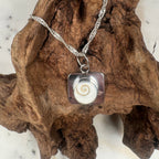 Eye of the Ocean Shiva Shell Pendant Necklace