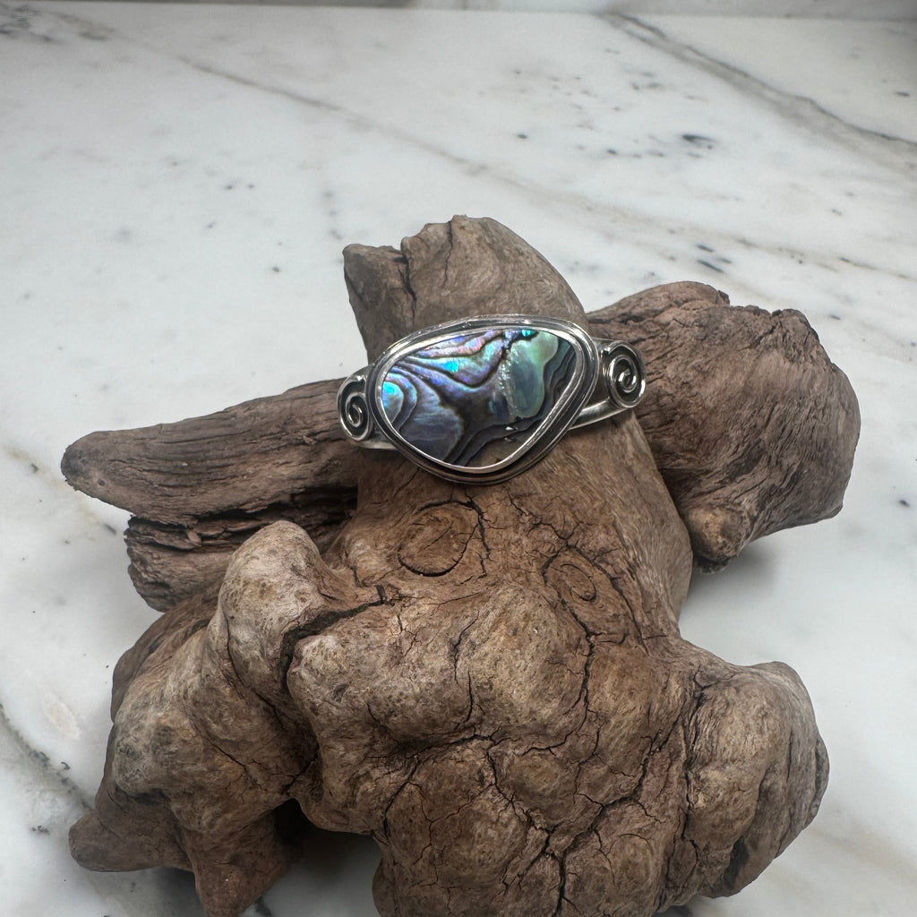Ocean Current Abalone Shell from the Sea Cuff