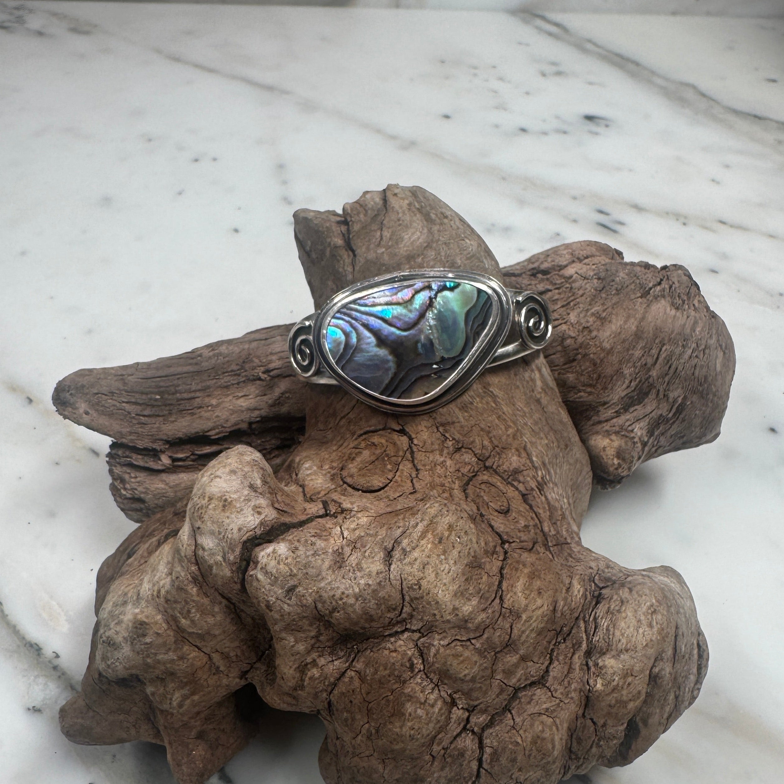 Ocean Current Abalone Shell from the Sea Cuff