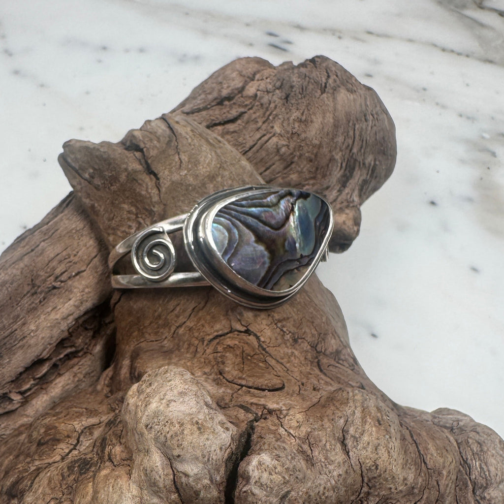 Ocean Current Abalone Shell from the Sea Cuff