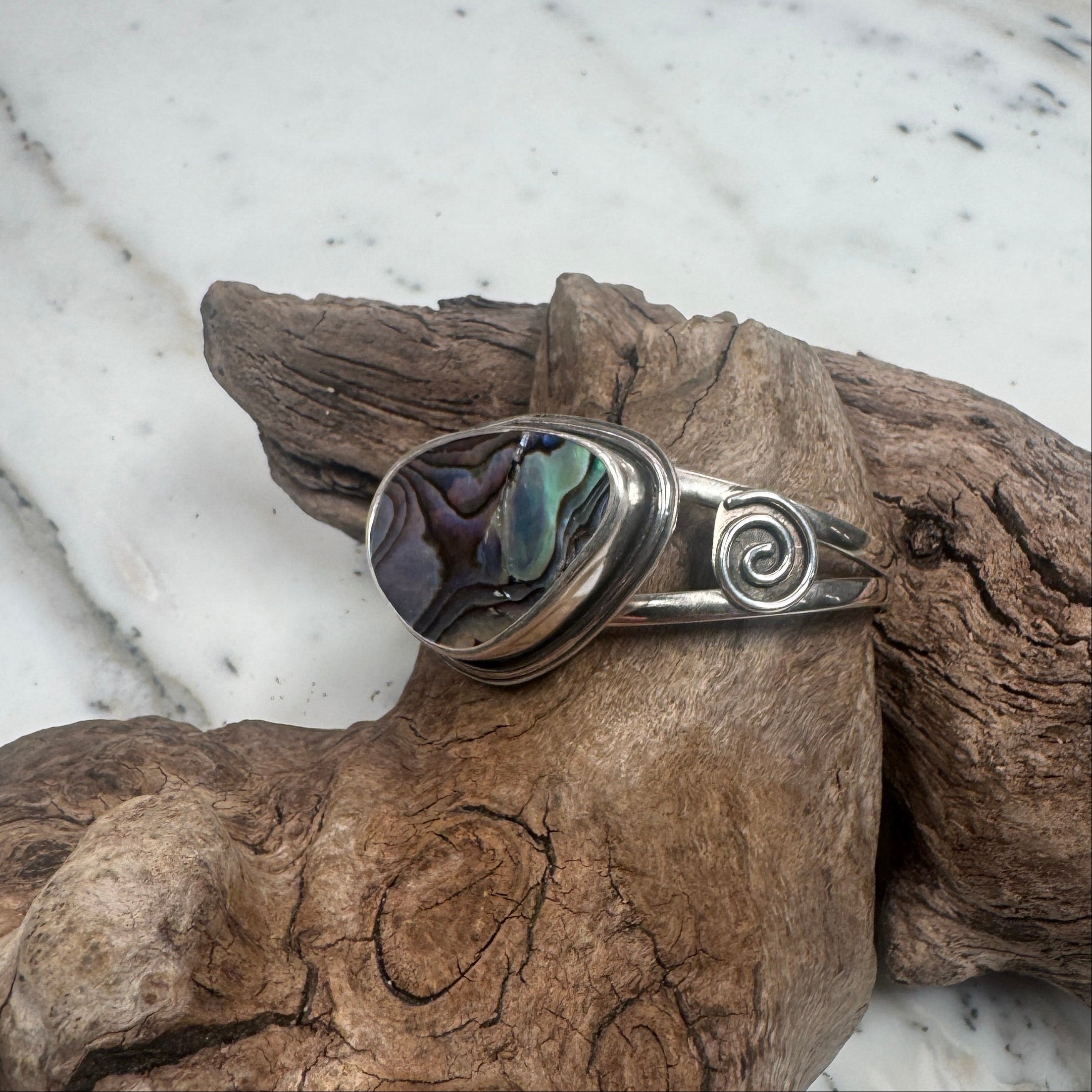 Ocean Current Abalone Shell from the Sea Cuff