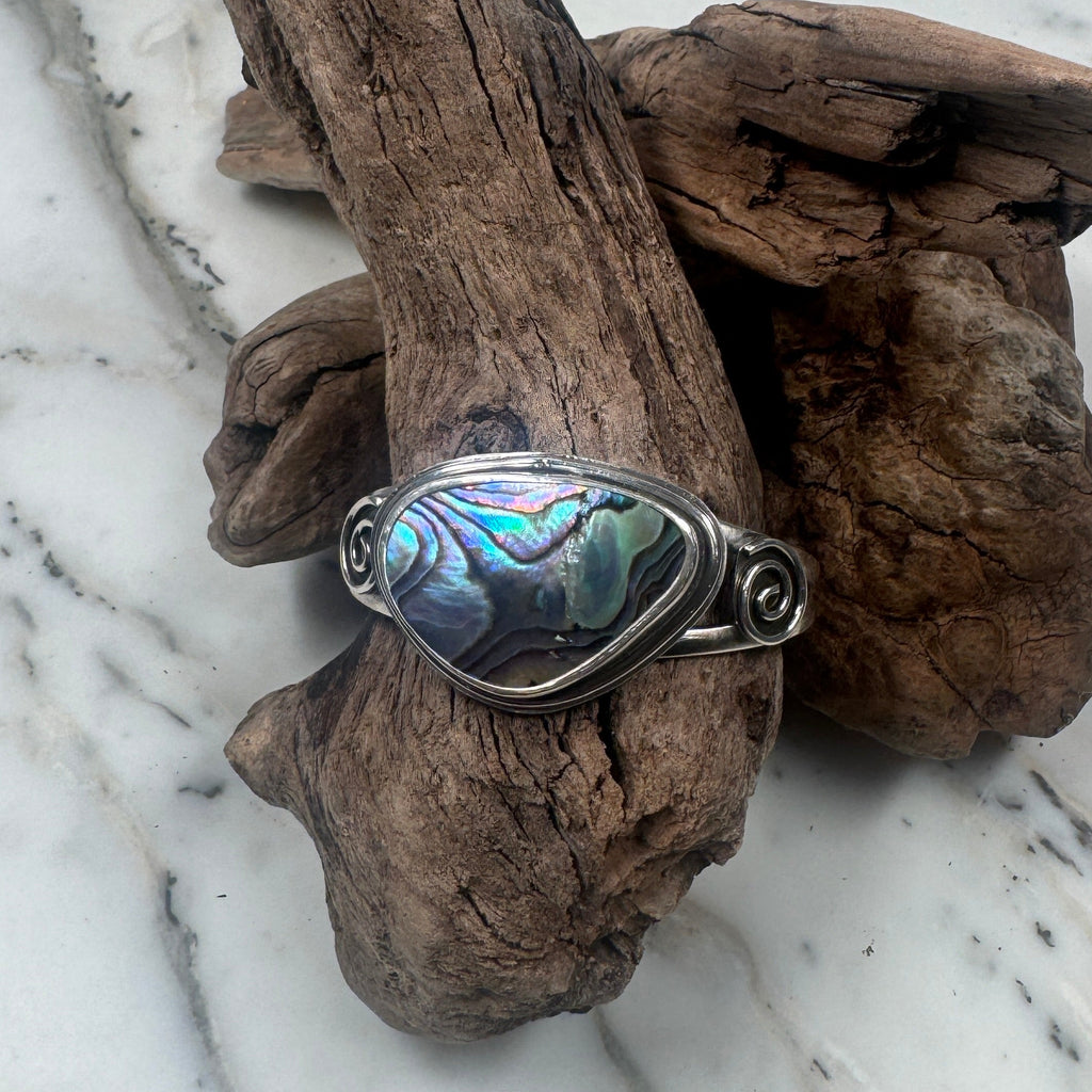 Ocean Current Abalone Shell from the Sea Cuff