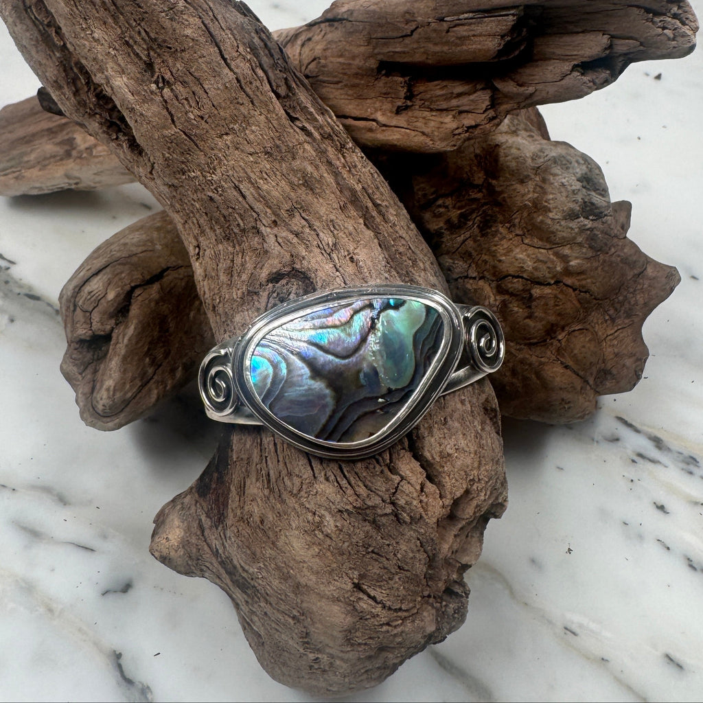 Ocean Current Abalone Shell from the Sea Cuff