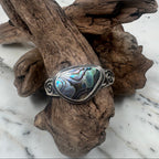 Ocean Current Abalone Shell from the Sea Cuff