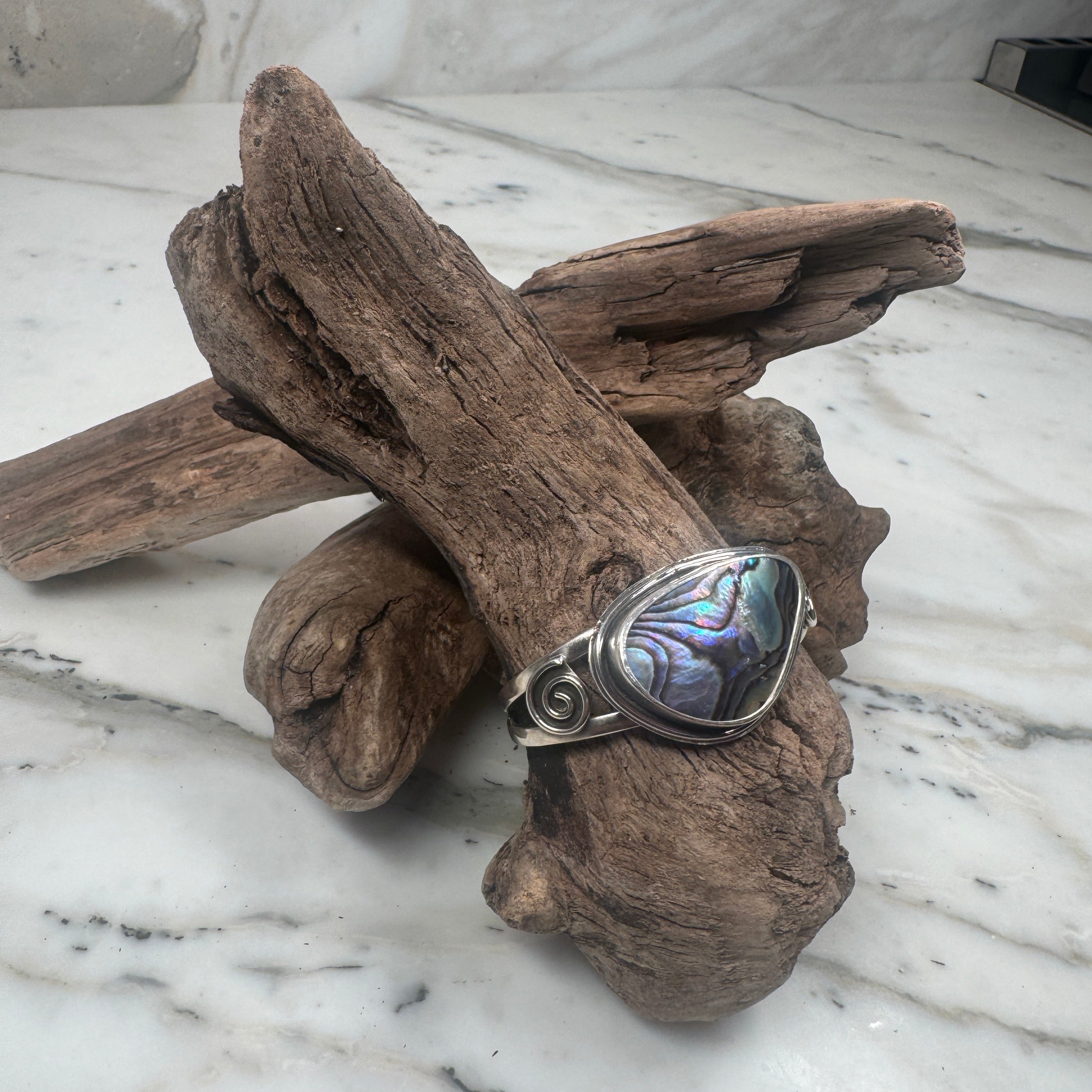 Ocean Current Abalone Shell from the Sea Cuff