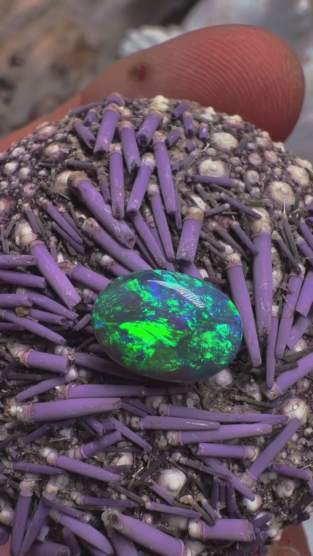 Lightning Ridge Schwarzer Opal 1,7 ct #LR-001
