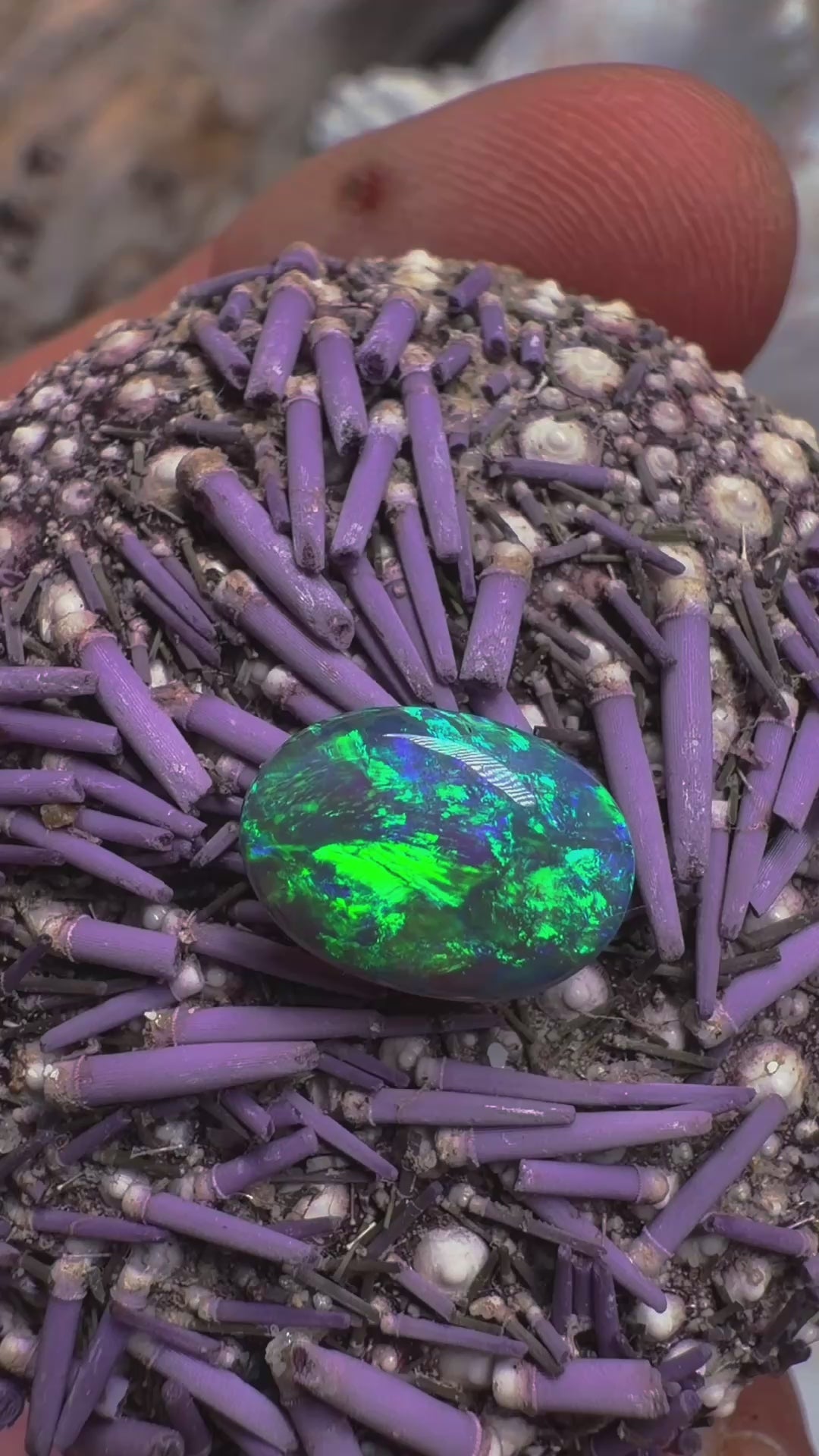Lightning Ridge Schwarzer Opal 1,7 ct #LR-001